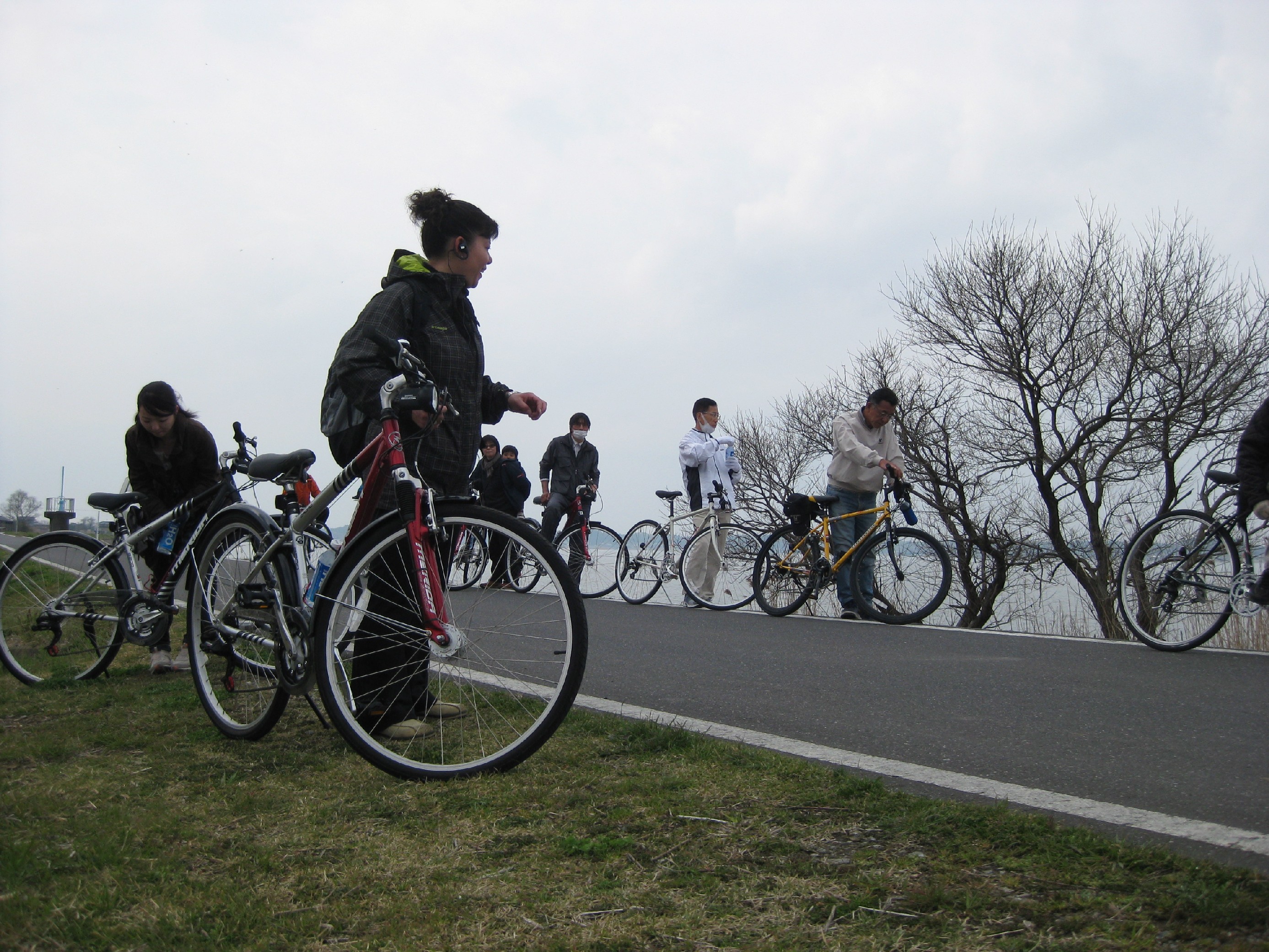 桜花爛漫なめがた水辺サイクリング