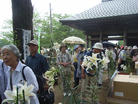 西蓮寺山百合参道